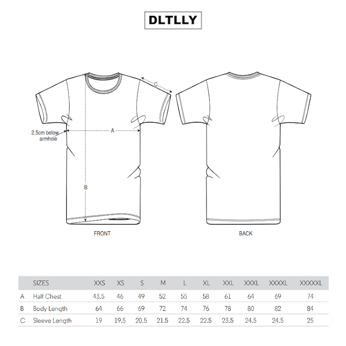 DLTLLY 2.0 | SHIRT | GRAU