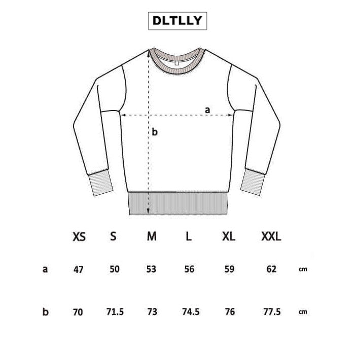 DLTLLY | SWEATSHIRT 2.0 | SCHWARZ