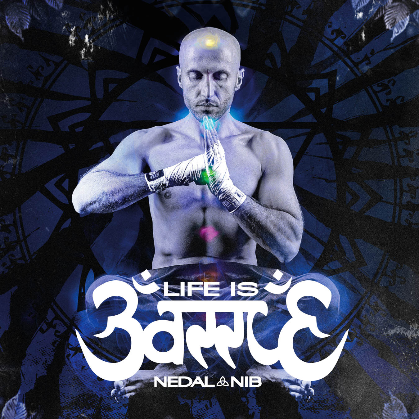 Nedal Nib Life is Battle Albumcover